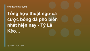 Read more about the article Tổng hợp thuật ngữ cá cược bóng đá phổ biến nhất hiện nay – Tỷ Lệ Kèo Trực Tuyến